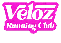 Veloz Sticker