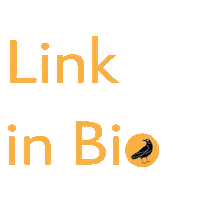 link iconicamx Sticker by Iconica Studio