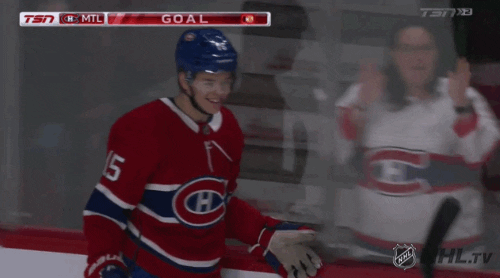 Celebrate Ice Hockey GIF by NHL