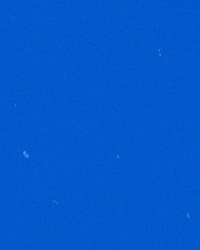 riverhawknation ncaa river hawks america east uml GIF