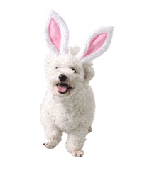 Dog Sticker by Just Russel