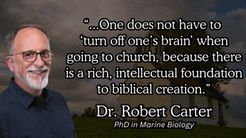 Marine Biology Church GIF