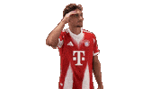 Looking Around Fc Bayern Sticker by Bundesliga