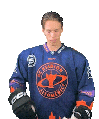 Sport Hokej Sticker by HCSTADION