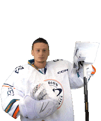 Sport Hokej Sticker by HCSTADION