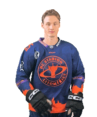 Sport Hokej Sticker by HCSTADION
