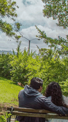 GIF by Guatemala.com