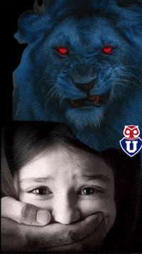 U De Chile Bulla GIF