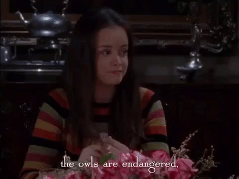 season 1 netflix GIF by Gilmore Girls 