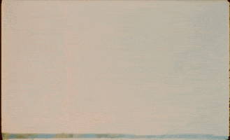 Summer Beach GIF by Chloe Jane