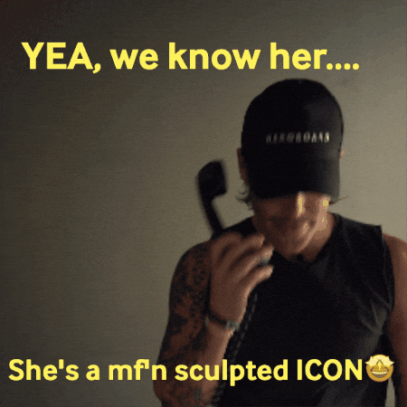 Icon Pilates GIF by heroboard fitnes