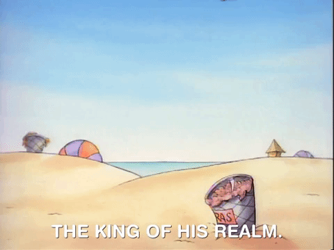 rockos modern life nicksplat GIF