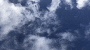 jason-clarke  GIF