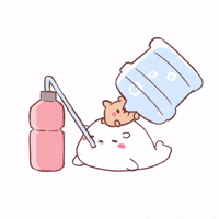 sealofbrie water seal brie drinkwater GIF