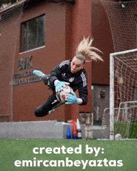 Goalkeeper GIF