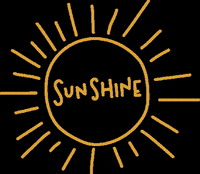 twenty-eight fun sun gold sunshine GIF