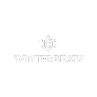Party Festival Sticker by Winterbeats