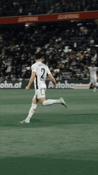 Celebration Goal GIF by SK Sturm Graz