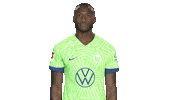 Happy Josuha Guilavogui Sticker by VfL Wolfsburg