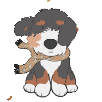 Bernedco dog fall puppy adorable Sticker