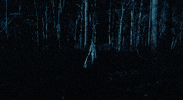 Knocked Loose Night GIF by Pure Noise Records
