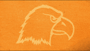 Cnwb19 GIF by Carson-Newman Athletics