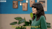 episode 7 britains best home cook GIF by BBC