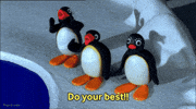 Go For It Good Job GIF by Pingu