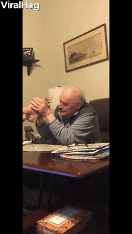 Grandfather Gets A New Furry Friend GIF by ViralHog