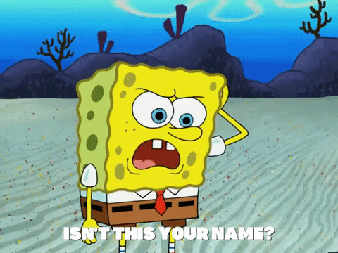 season 5 GIF by SpongeBob SquarePants