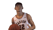 Cnmb Sticker by Carson-Newman Athletics