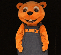 OBI_Slovenija obi bober obislovenija GIF