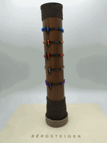 brgsteiger GIF