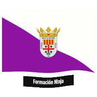 Bandera Zaragoza Sticker by Formación Ninja