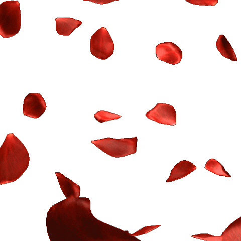 Güller Sticker by Kanal D