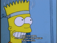 Season 1 GIF by The Simpsons