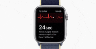 apple watch GIF