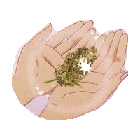 stoned weed STICKER by imoji