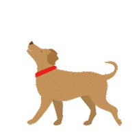 Dog Snow Sticker by PRO-MIX Gardening