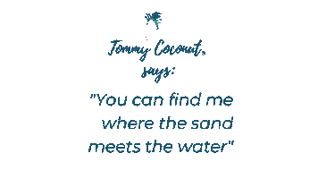 tommycoconutcuracao water holiday beach vacation Sticker