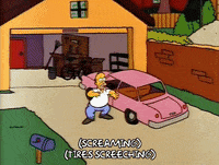 homer simpson GIF