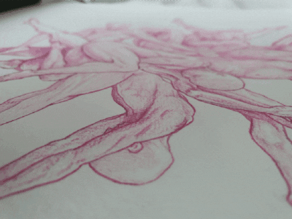Kaitao giphygifmaker giphygifmakermobile GIF