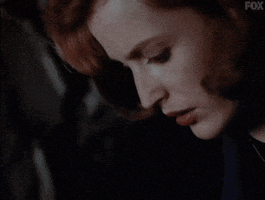 x files GIF by The X-Files