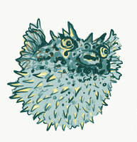 sophieaillustration angry ocean fish sea GIF