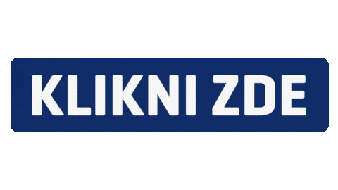 Czechfloorball Sticker by Český florbal