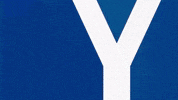 Happy Soccer GIF by Karlsruher SC