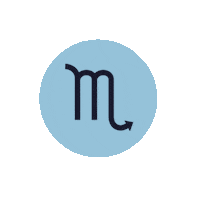 Zodiac Sign Water Sticker by Sanctuary
