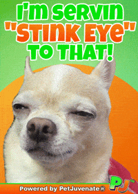 Angry Taylor GIF by PetJuvenate - PJ