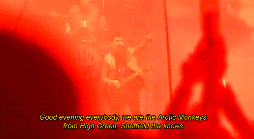 glastonbury monkeys GIF