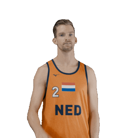 Dutch Team Beach Sticker by Nevobo
